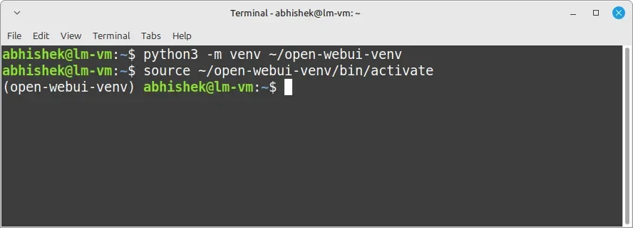 Ativando o ambiente virtual Python