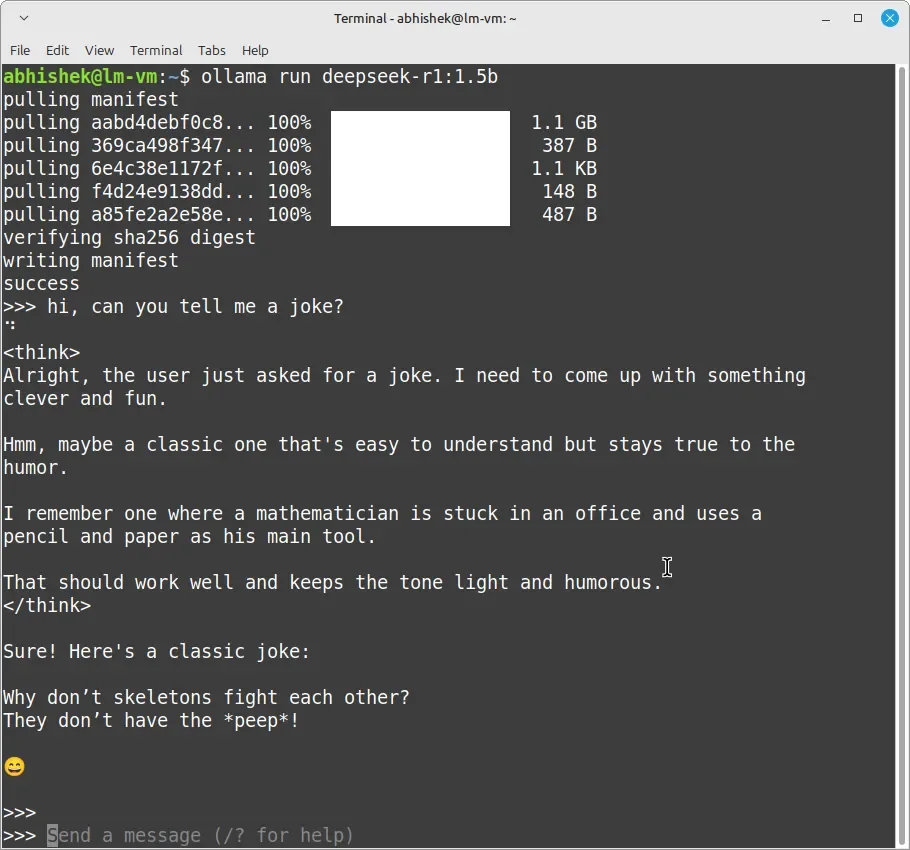 Pedindo ao DeepSeek para escrever uma piada no terminal