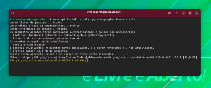 Atualize apenas um único pacote no Ubuntu