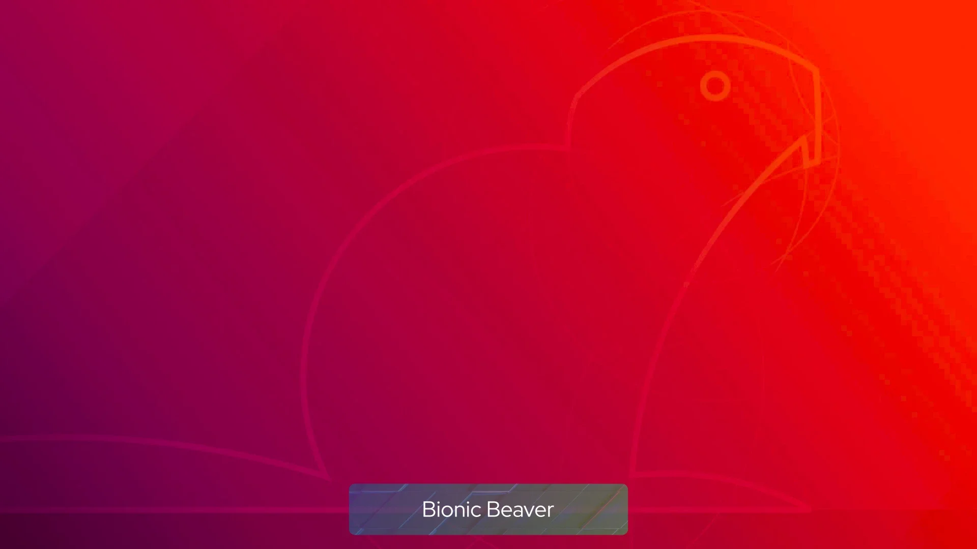 bionic_beaver bionic_beaver