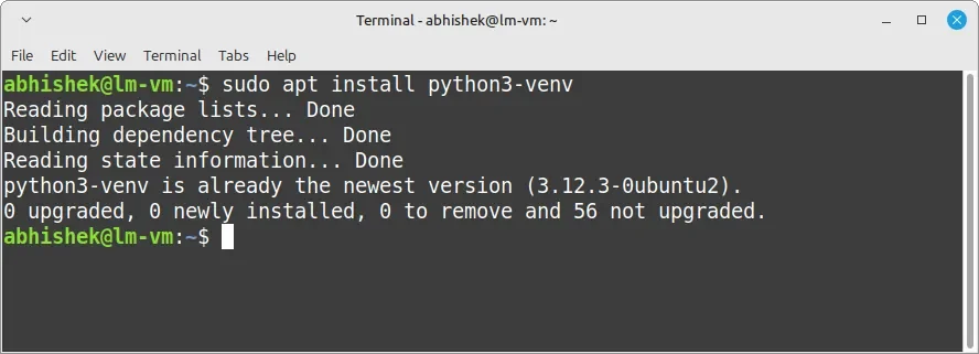 Instalando o ambiente virtual Python