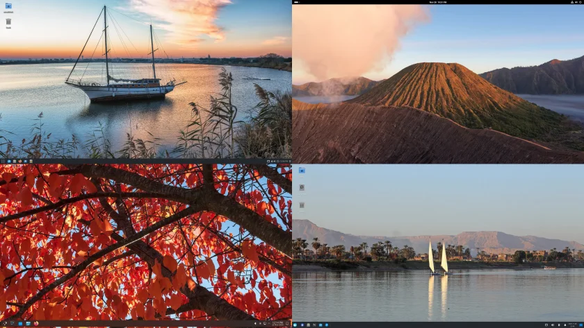 collage collage