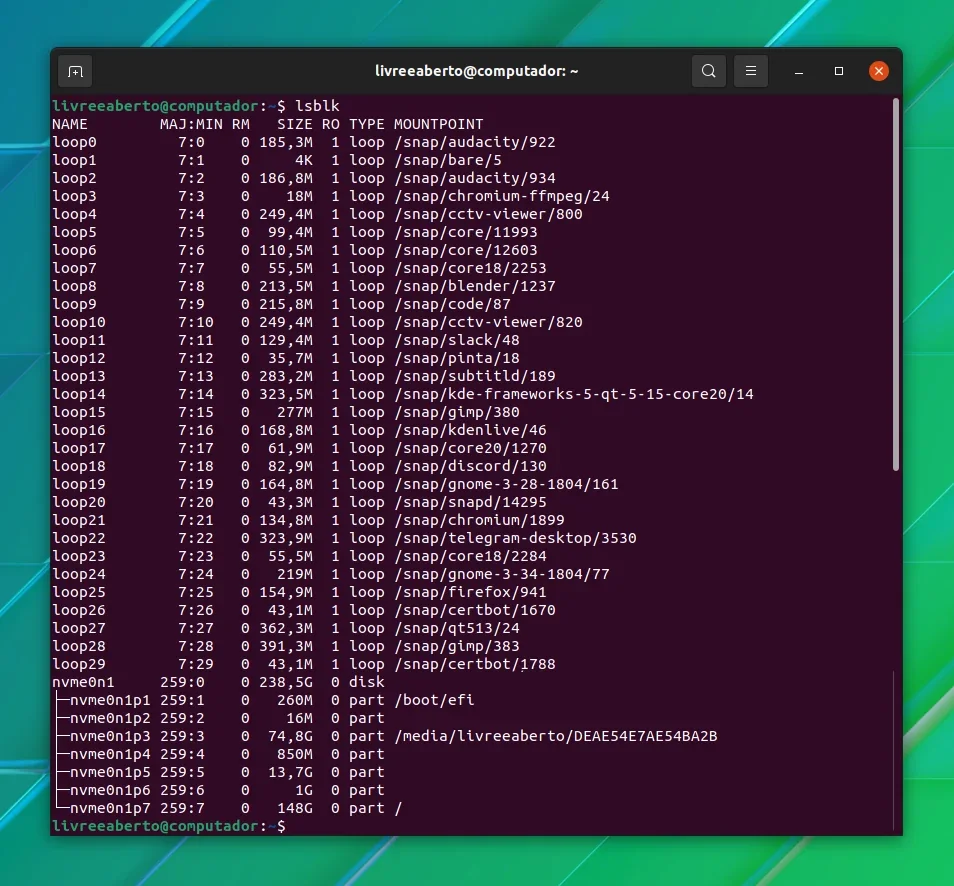 Terminal mostrando informações do comando lsblk Terminal mostrando informações do comando lsblk