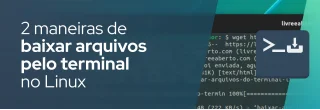 Se você está preso ao terminal no Linux, digamos em um servidor, como você baixa um arquivo? Aqui estão alguns comandos para baixar arquivos e até páginas da web.