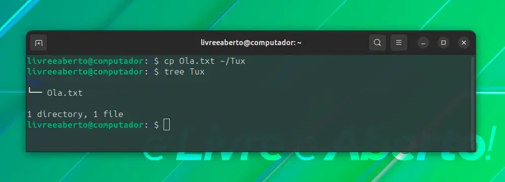 copiar_1