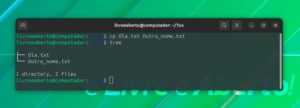 copiar_2