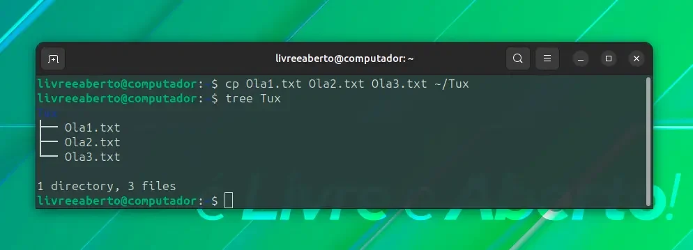 copiar_3