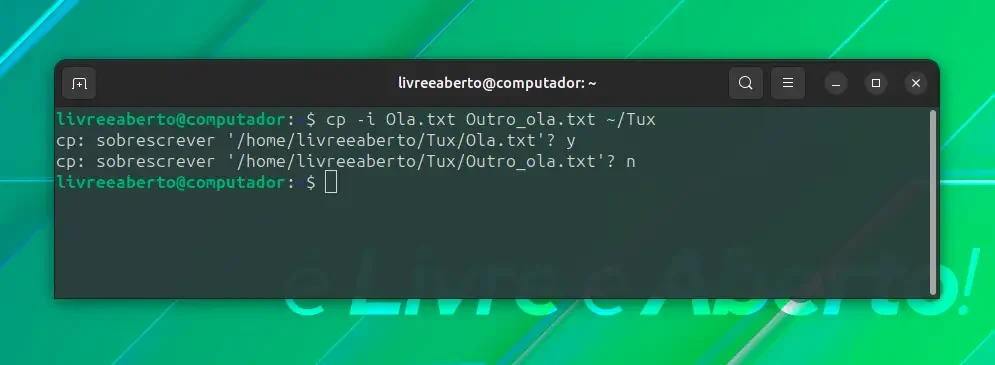 copiar_5