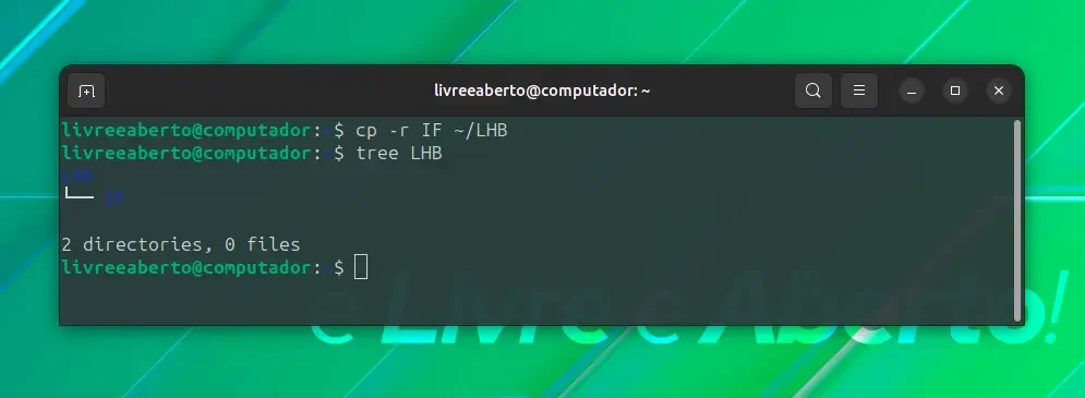 copiar_6