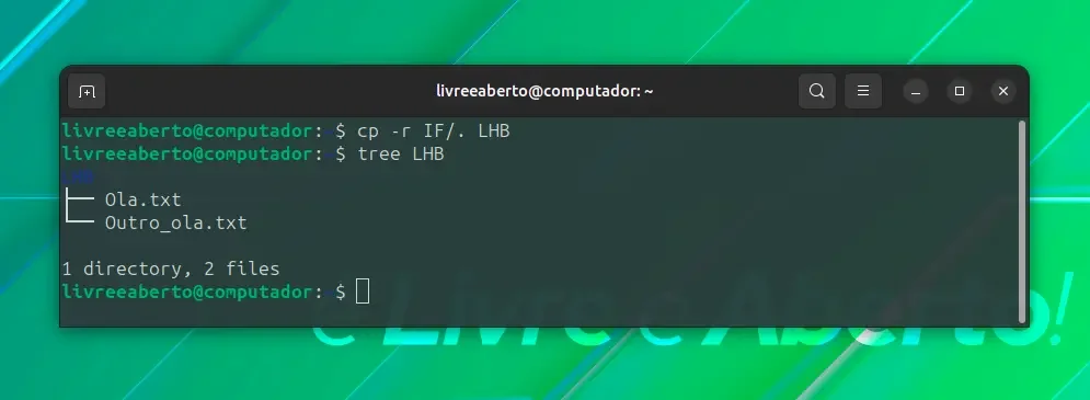 copiar_8