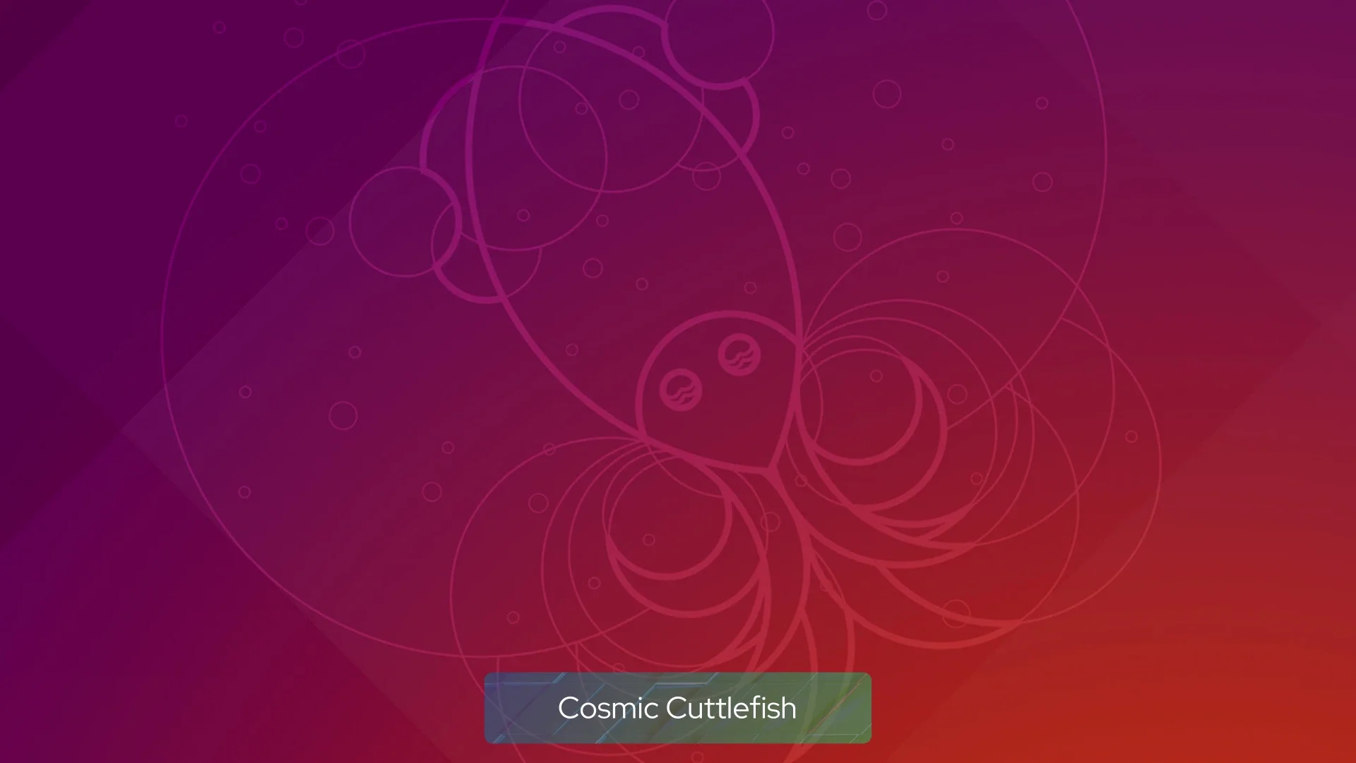 cosmic_cuttlefish cosmic_cuttlefish