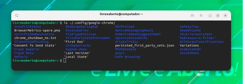 Google Chrome deixa configurações no Ubuntu