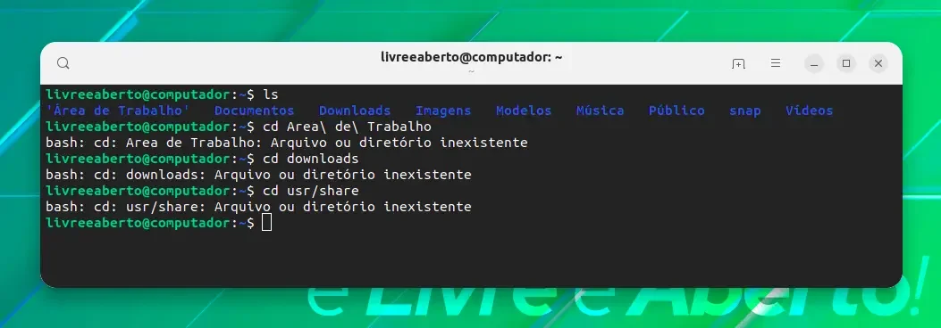 Exemplos comuns de erro Arquivo ou diretório inexistente