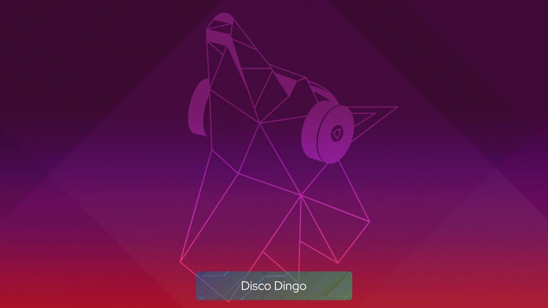 disco_dingo disco_dingo