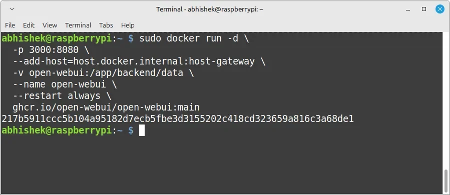 Executando o contêiner Docker Open WebUI
