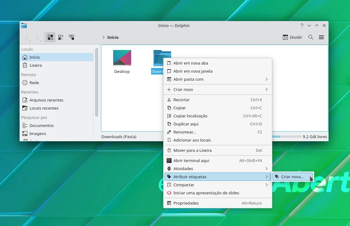 dolphin_1