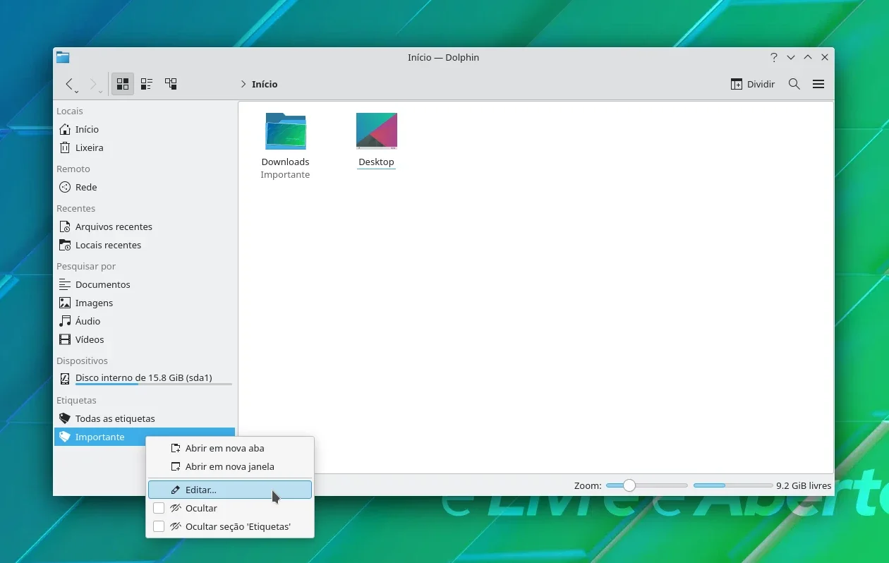 dolphin_10