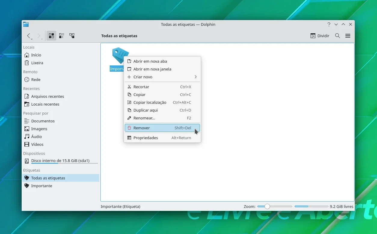 dolphin_12