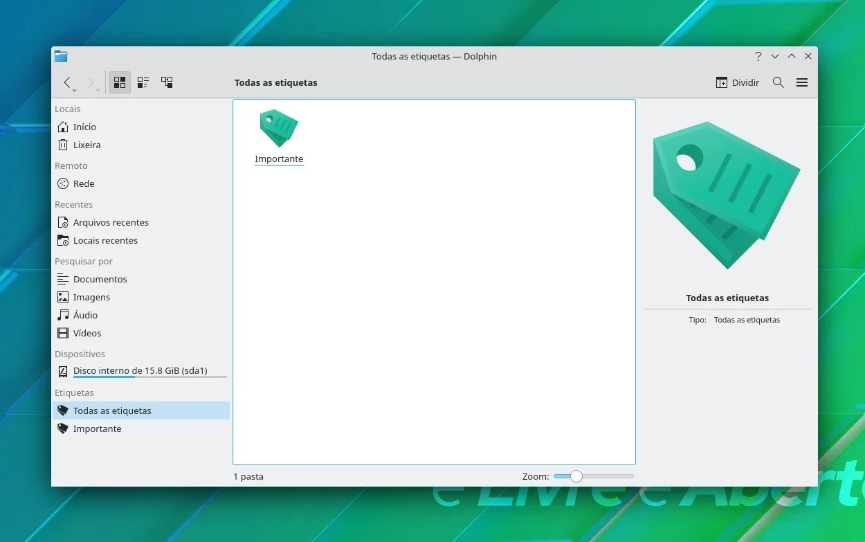 dolphin_7
