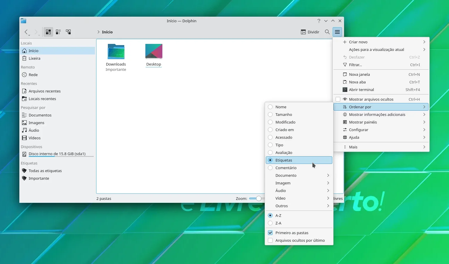 dolphin_9