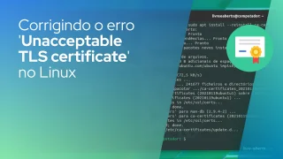 Corrigindo o erro 'Unacceptable TLS certificate' no Linux
