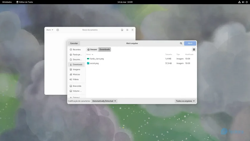 fedora_38_beta_9 fedora_38_beta_9