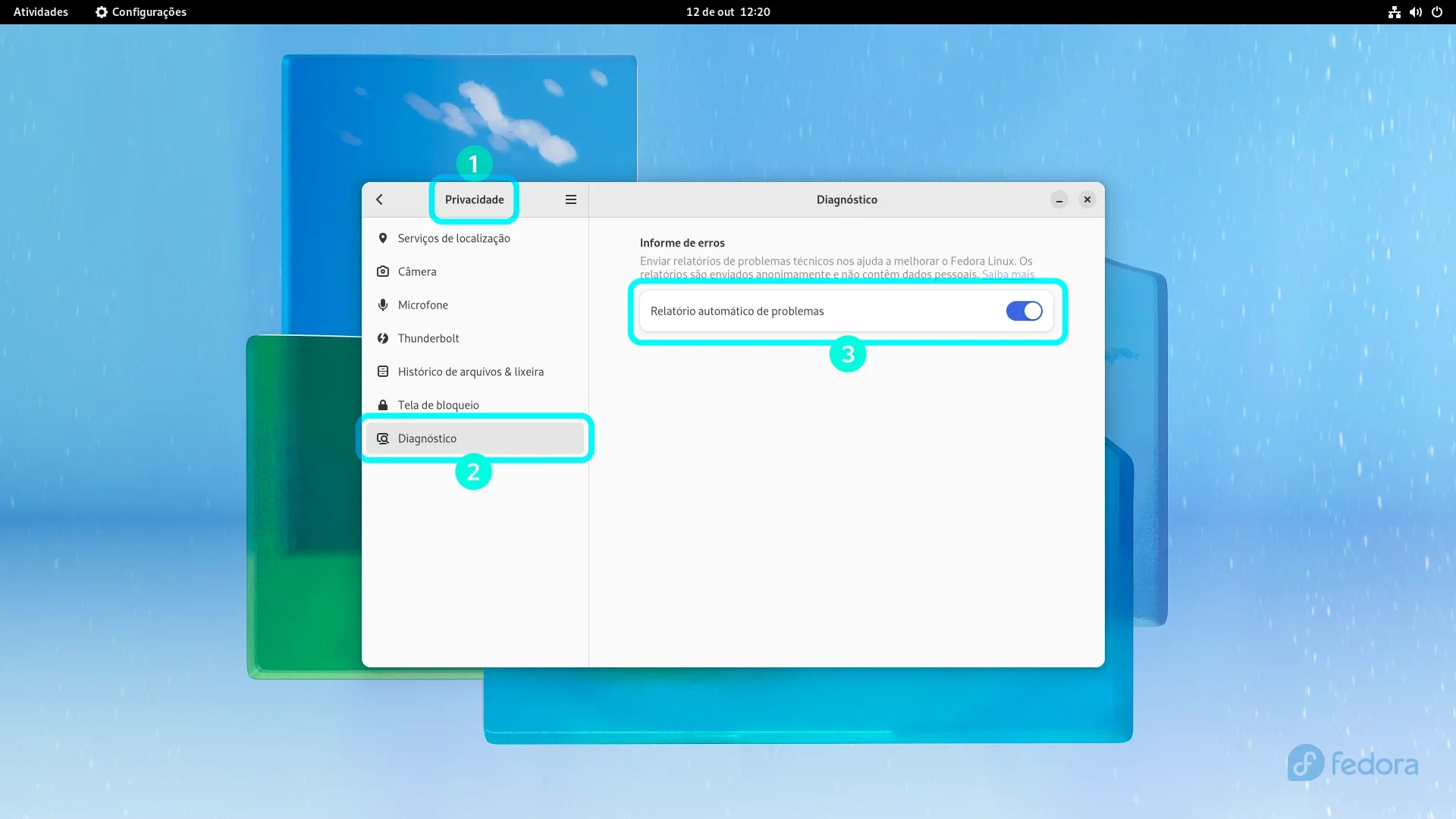 fedora_privacidade
