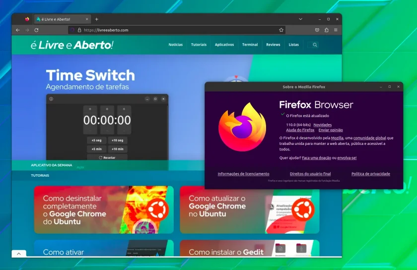 firefox_110 firefox_110