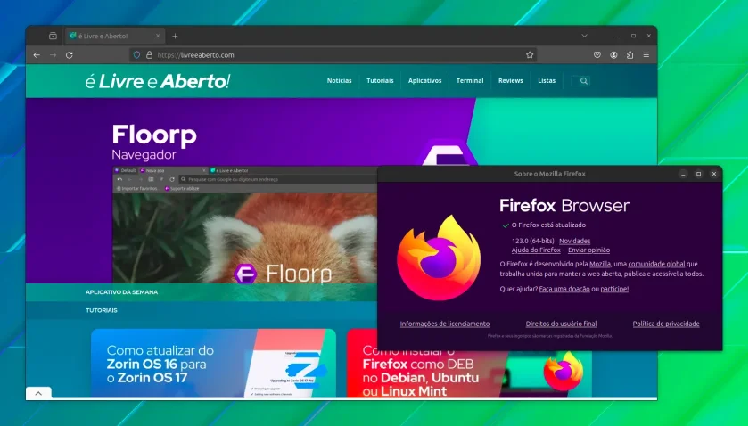 firefox_123_1 firefox_123_1