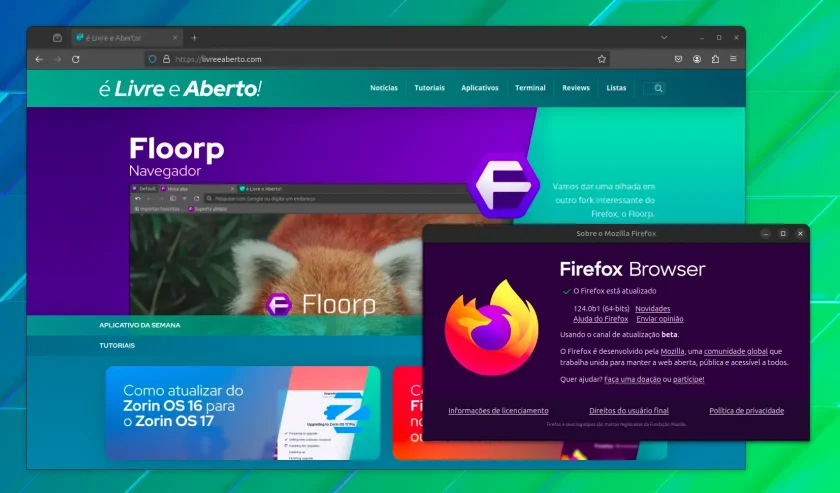 firefox_124b firefox_124b