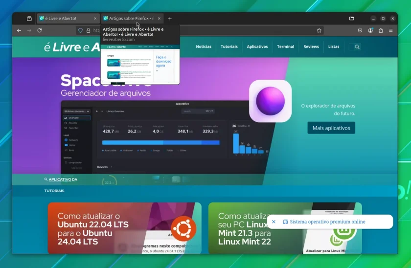 firefox_131_1 firefox_131_1