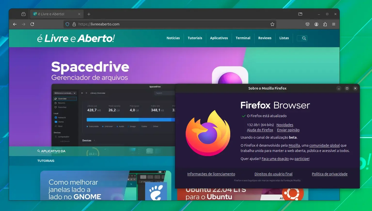 firefox_132 firefox_132