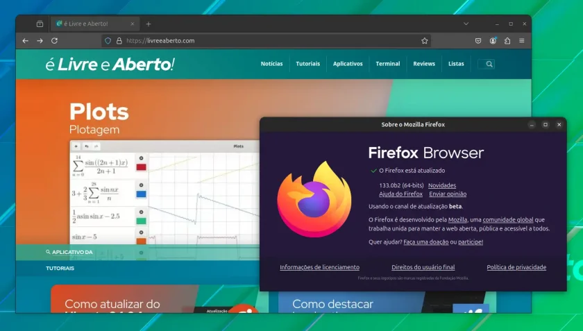 firefox_133_a firefox_133_a