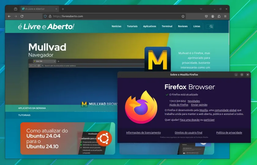 firefox_134 firefox_134