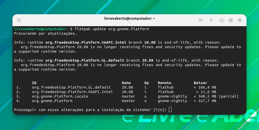flatpak_update_2 flatpak_update_2