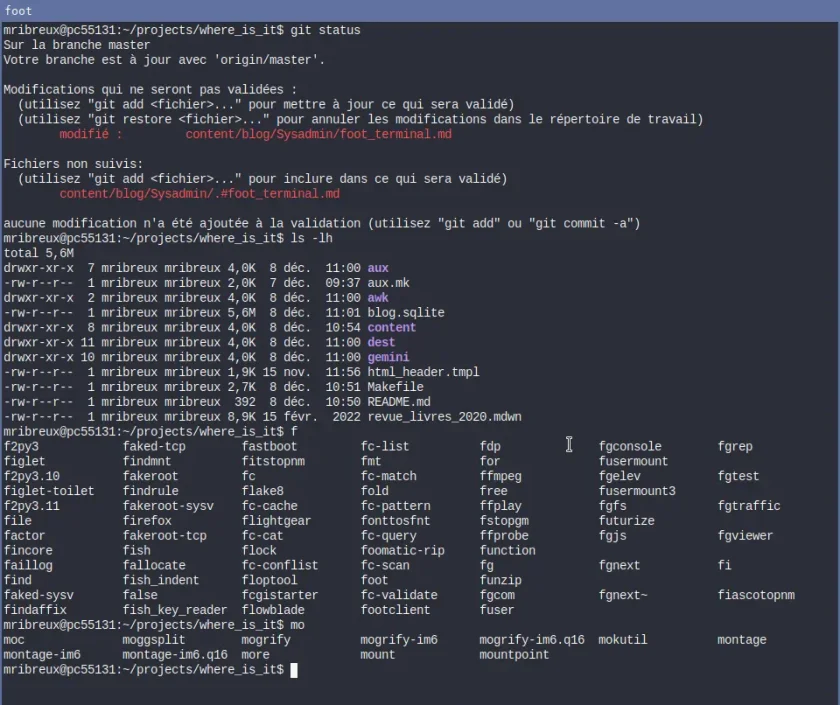 foot_terminal foot_terminal