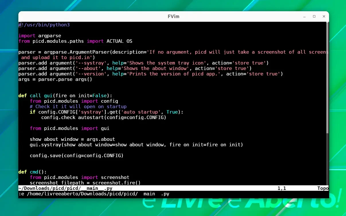 fvim fvim