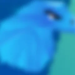 Ícone do Garuda