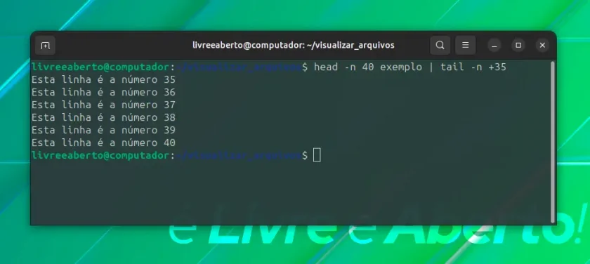 head_terminal head_terminal