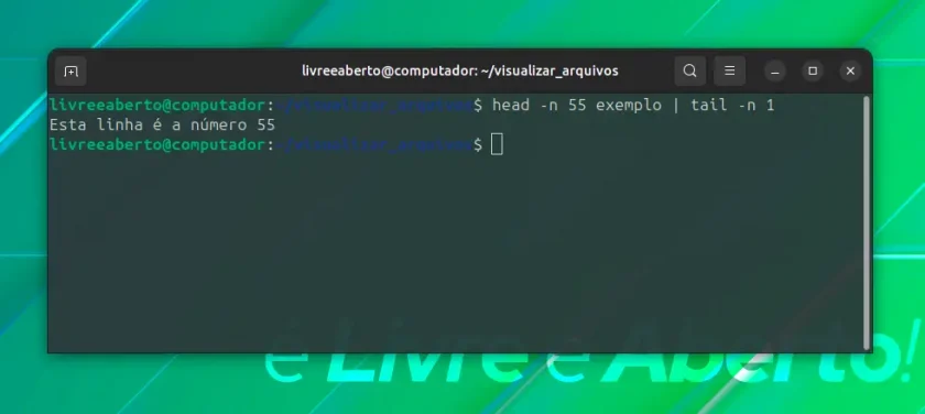 head_terminal_1 head_terminal_1