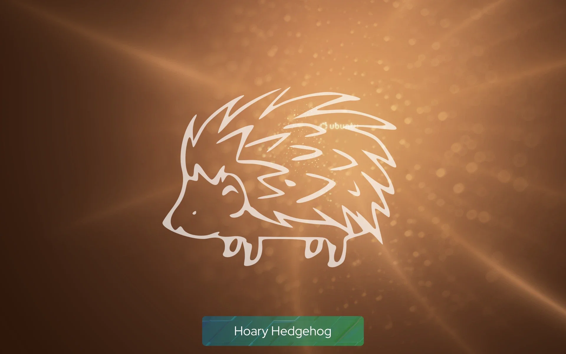 hoary_hedgehog hoary_hedgehog