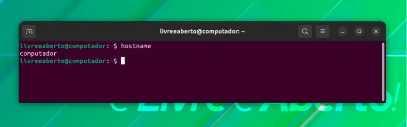 hostname hostname
