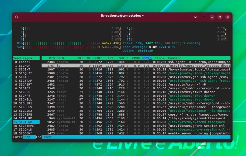 htop_matando htop_matando