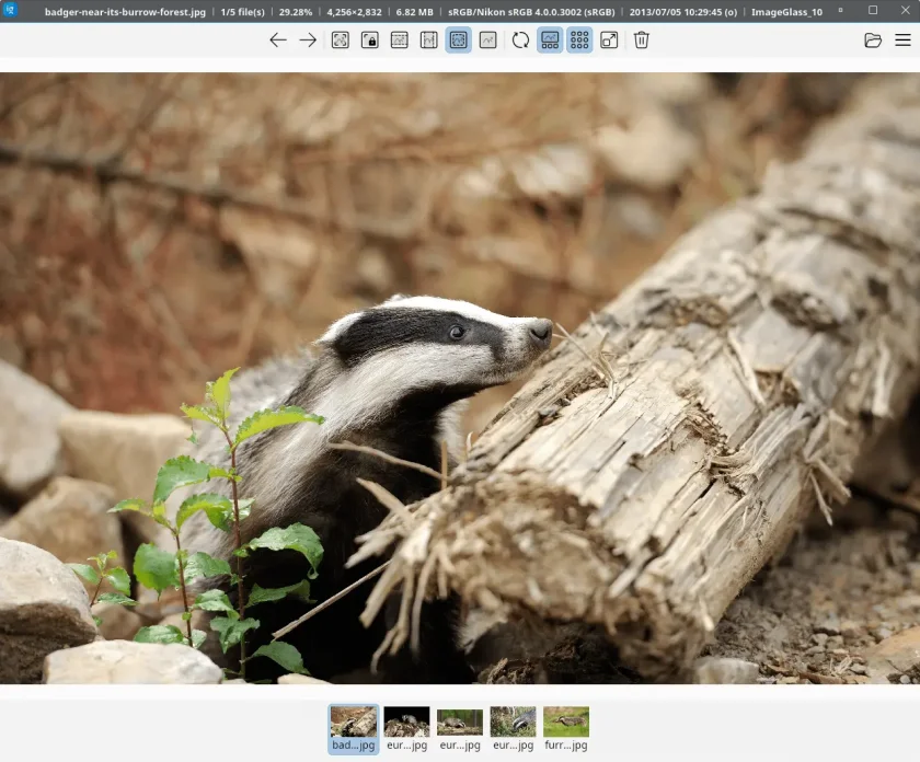 ImageGlass-example