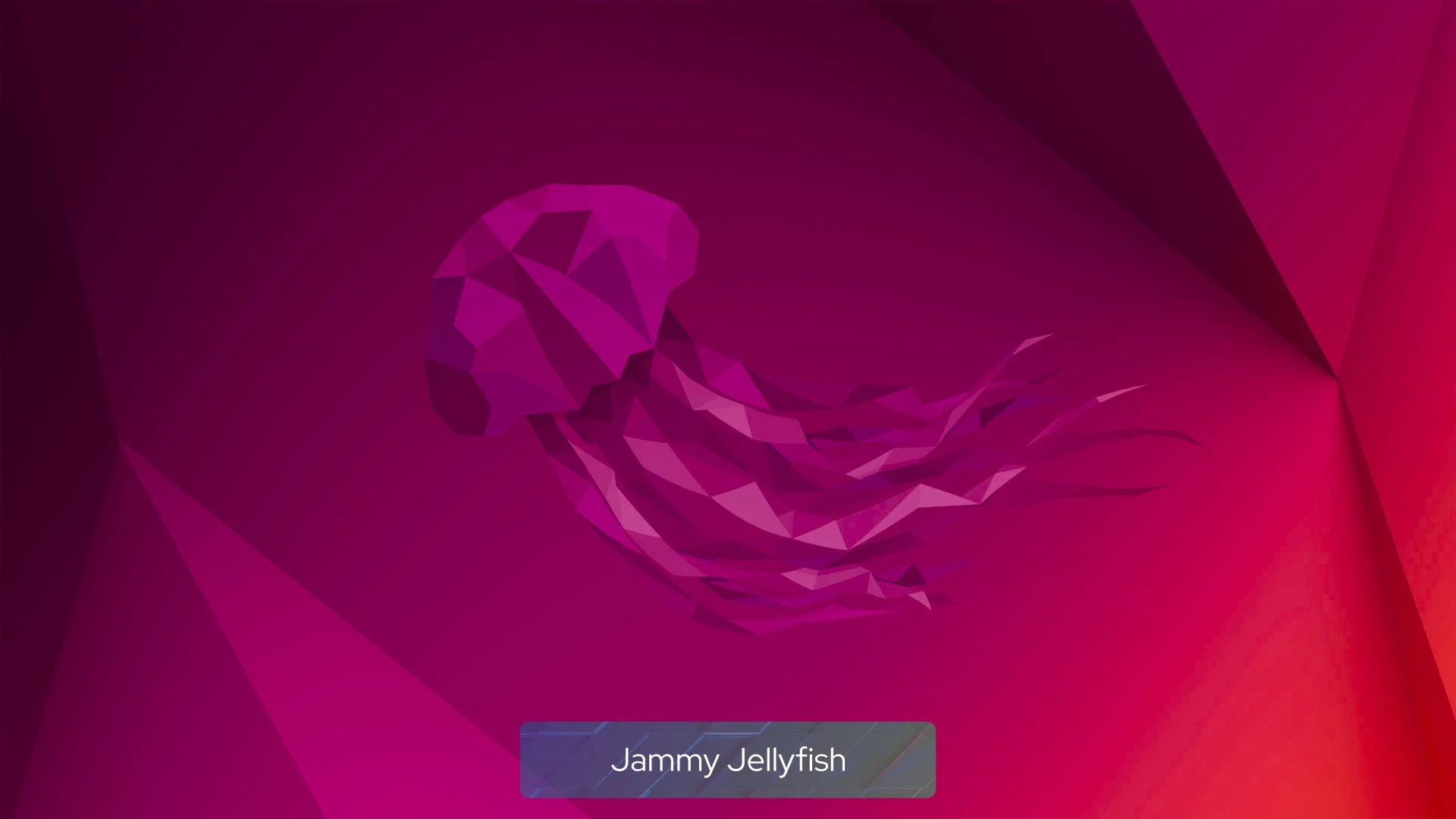jammy_jellyfish jammy_jellyfish