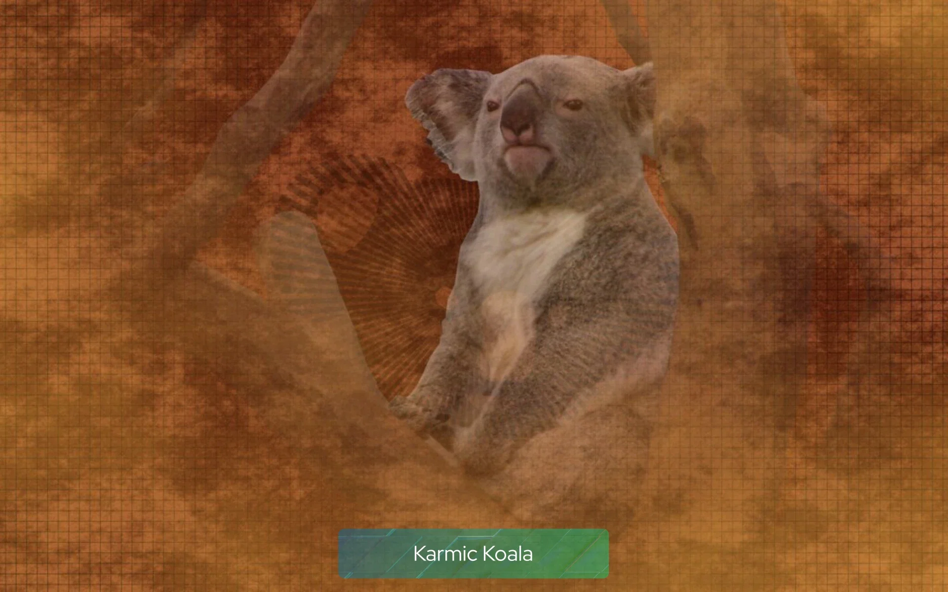 karmic_koala karmic_koala