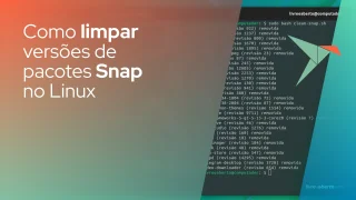 Como limpar versões de pacotes Snap no Linux