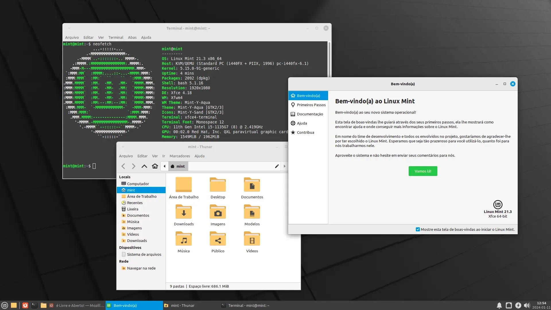 linux_mint_21_3_1 linux_mint_21_3_1
