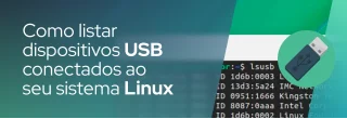 Vamos mostrar-lhe várias ferramentas e comandos que você pode usar para listar dispositivos USB conectados ao seu sistema.