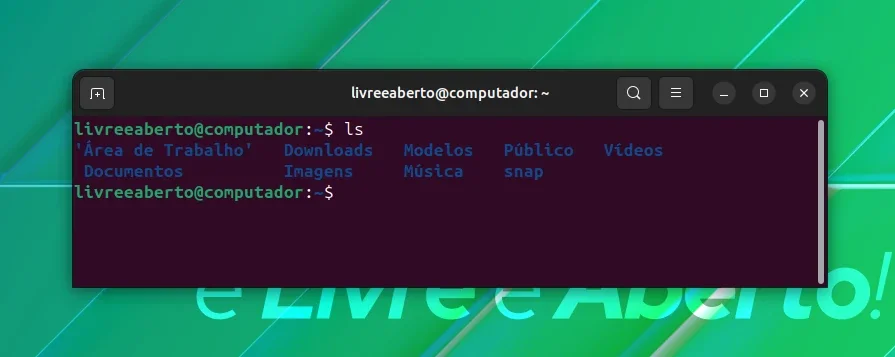 ls_terminal_1